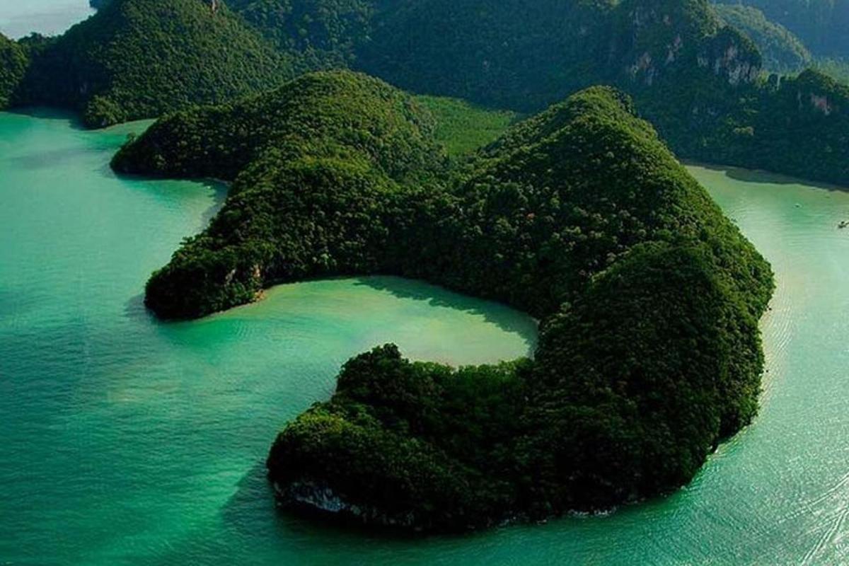 an island covered in green plants in the water