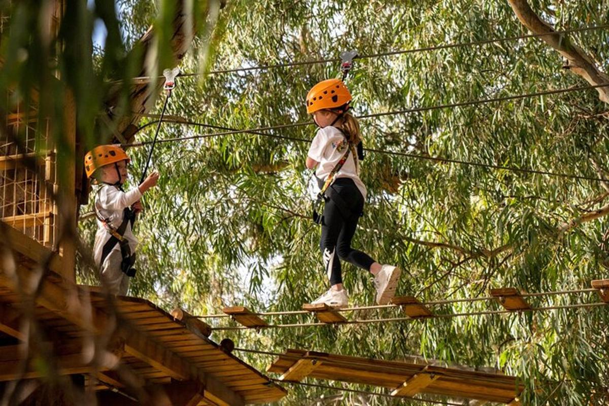 to barn går på zipline