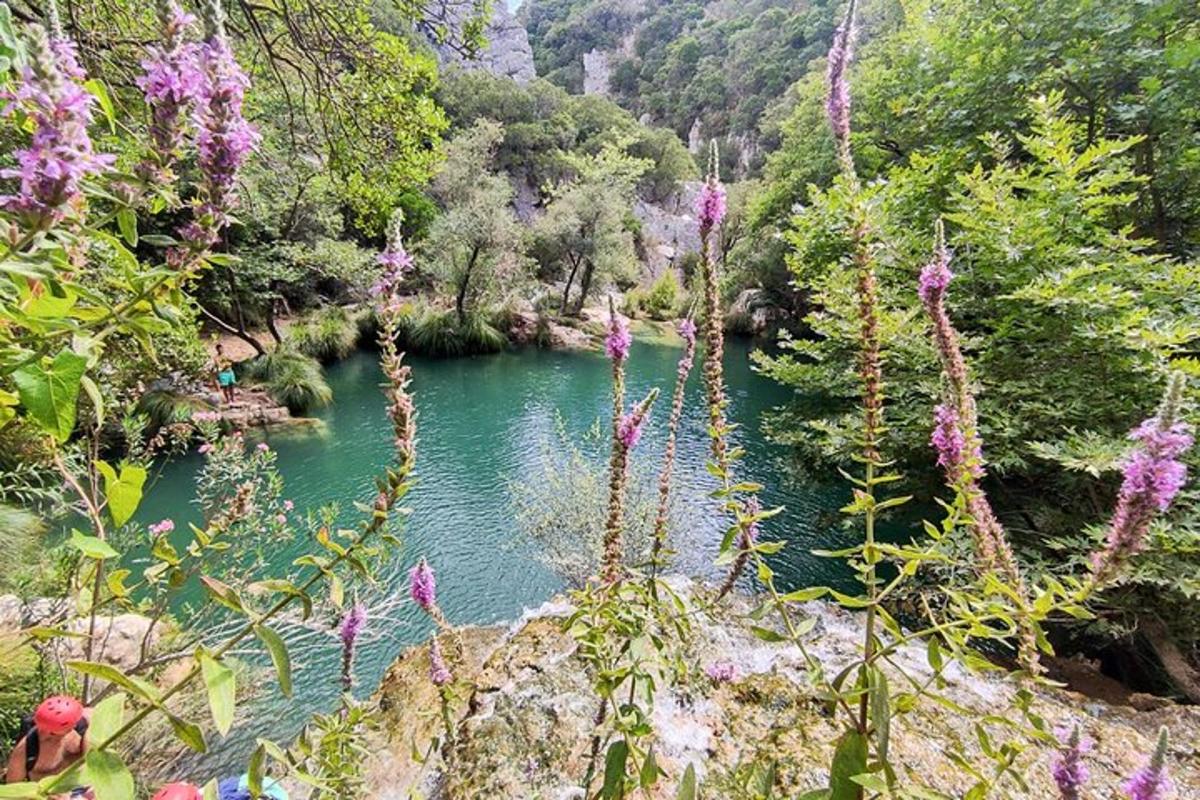 Ένα ποτάμι με μοβ λουλούδια μπροστά από ένα δάσος