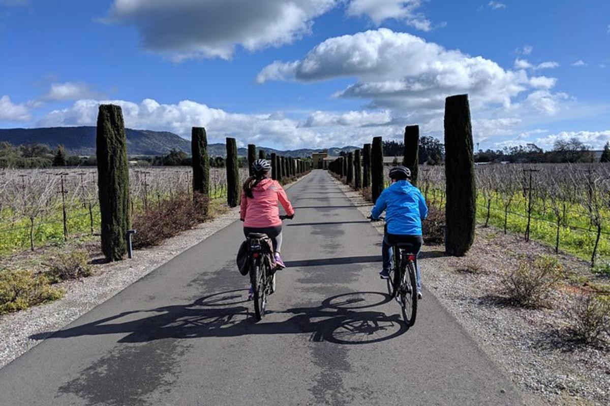 Dos personas andando en bicicleta por una calle