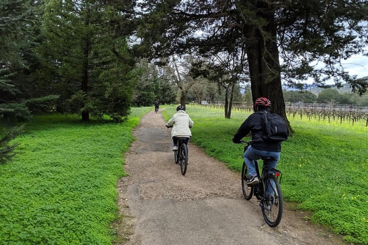 Dos personas andando en bicicleta por un sendero en un campo.