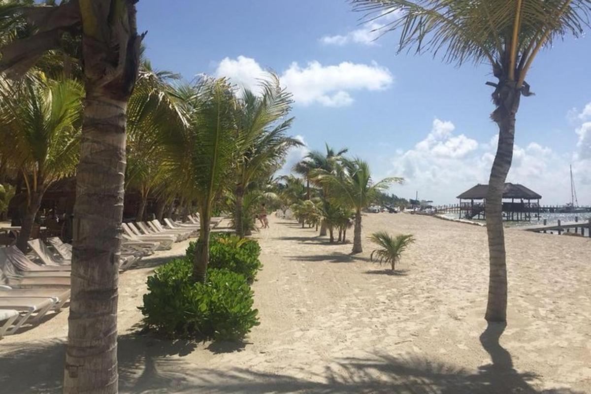 una spiaggia con palme, sedie bianche e un molo