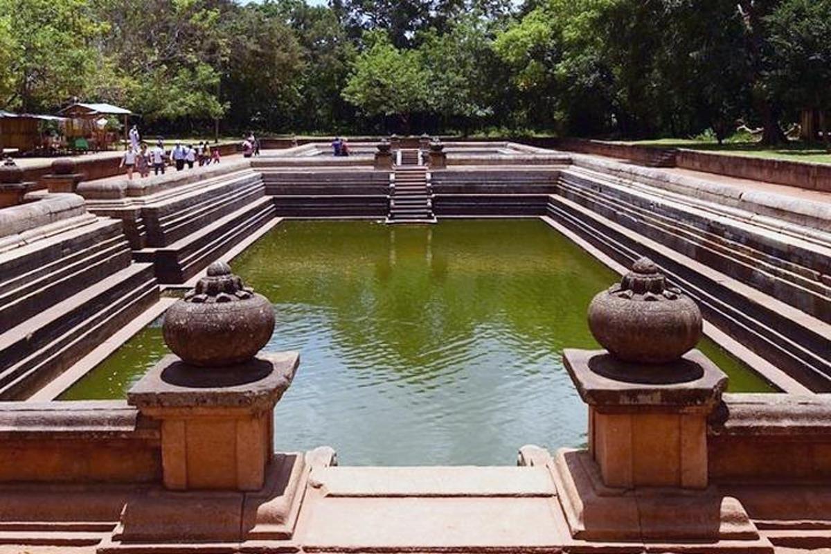 una fuente en un parque con un charco de agua