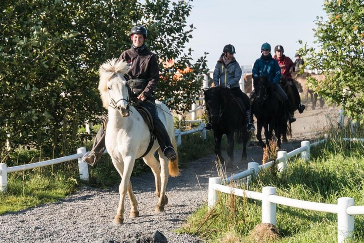 hópur fólks á hestbaki niður malarveg