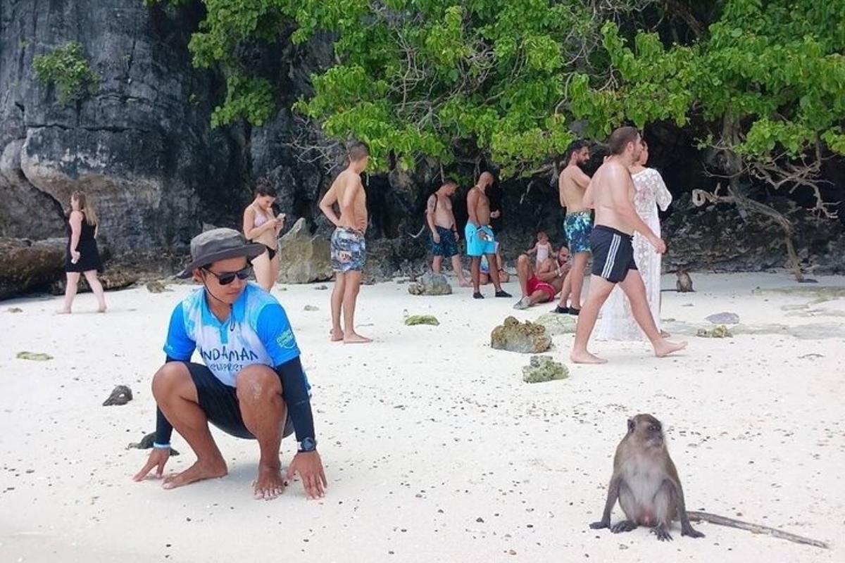 seorang lelaki dan seekor monyet di pantai bersama sekumpulan manusia