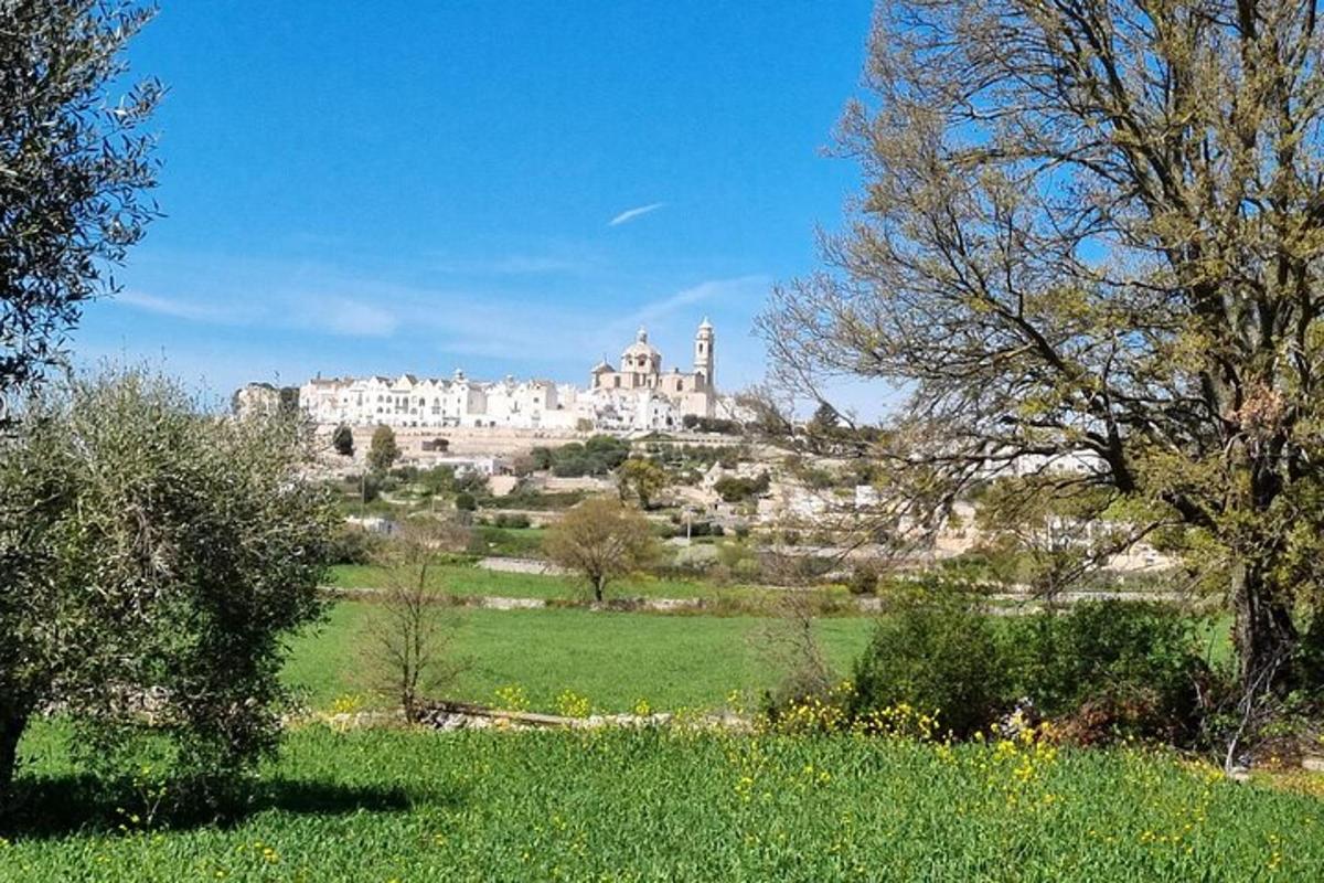 un castello su una collina con un campo e degli alberi