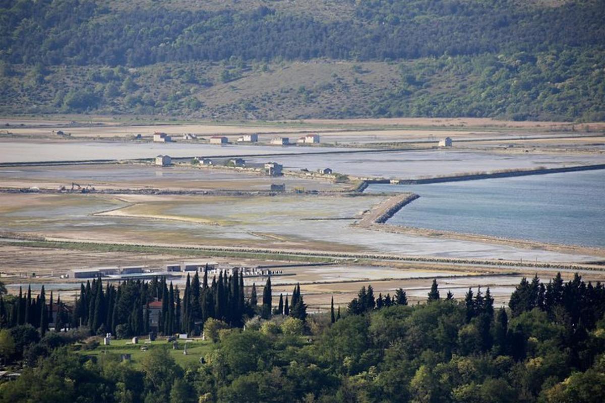 una vista d'una massa d'aigua amb arbres
