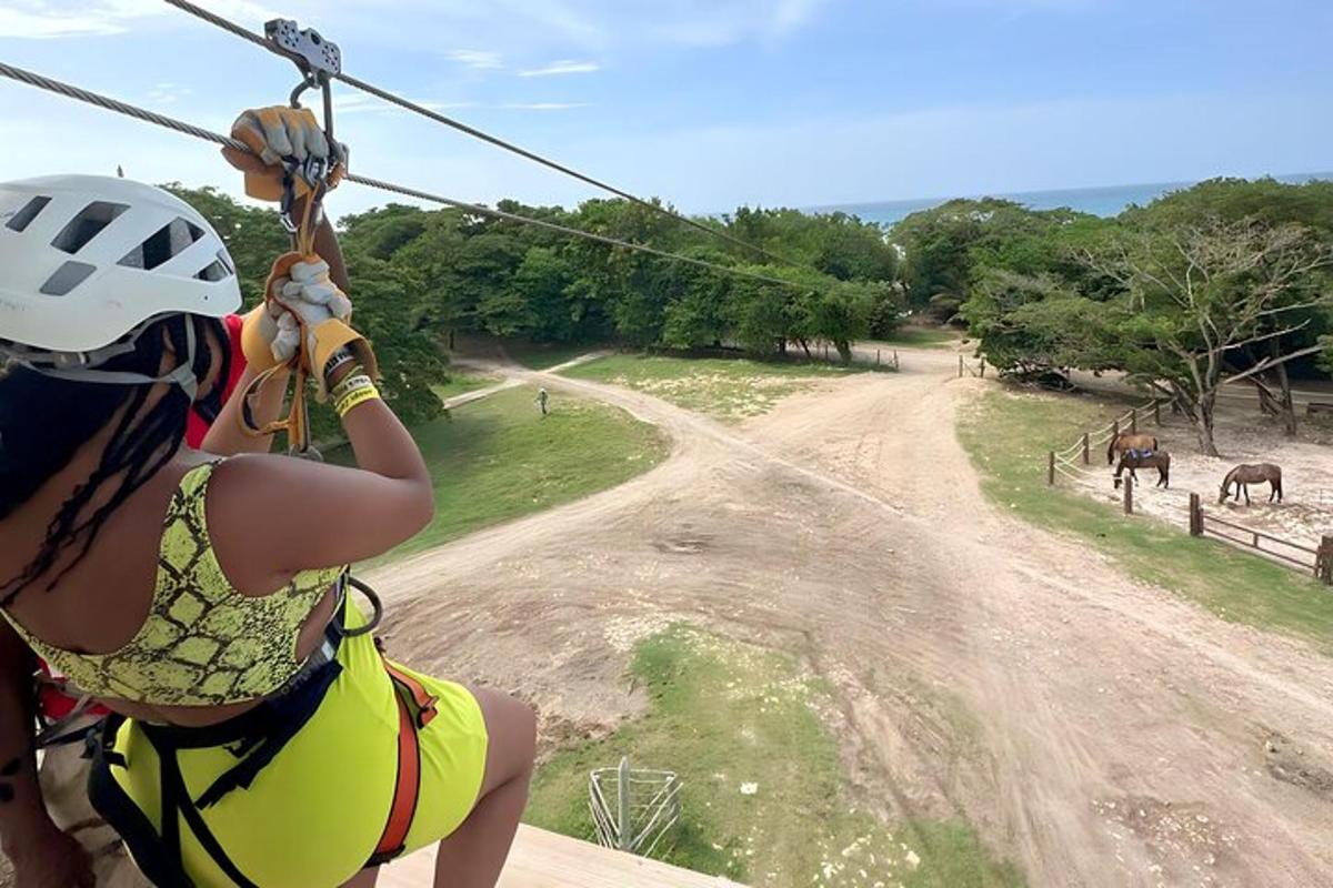 una dona en tirolina mirant cavalls en un camí de terra
