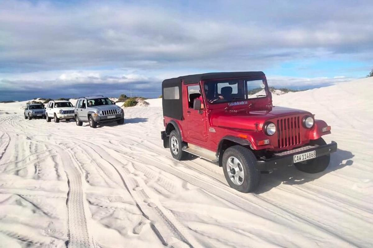 czerwony jeep jadący po piasku na pustyni