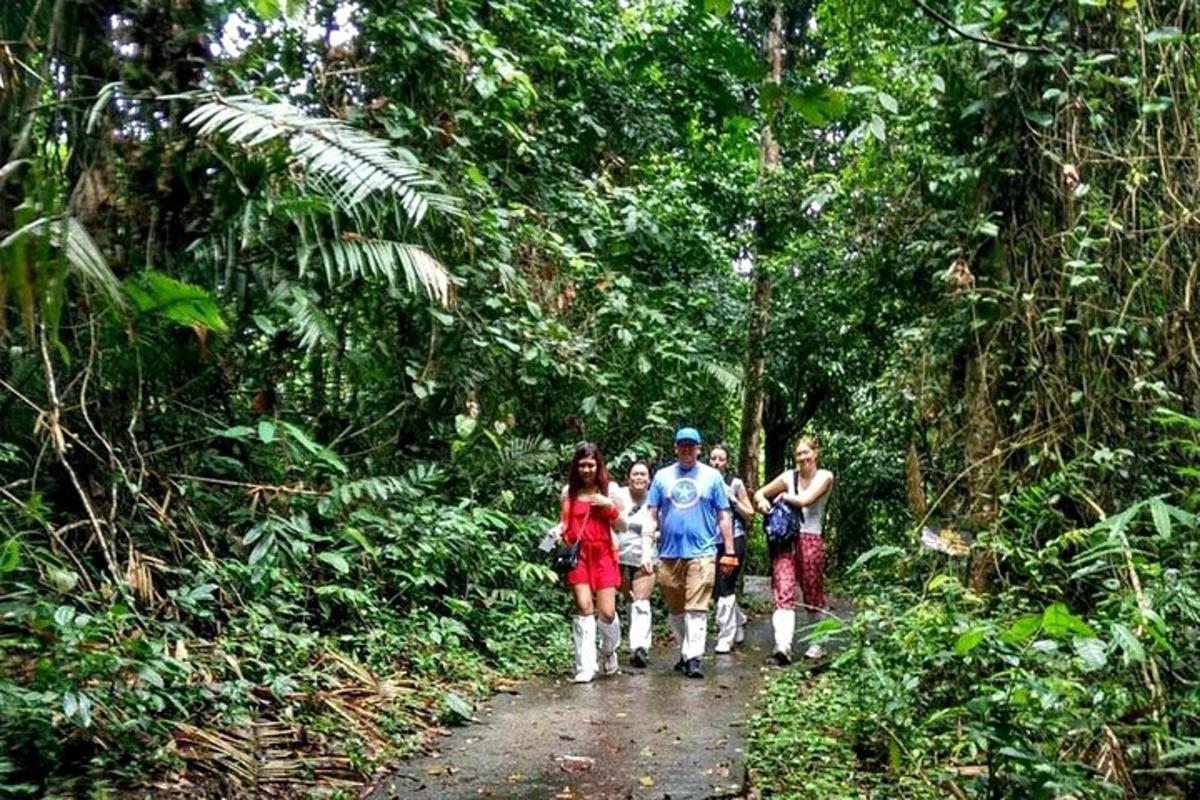 a group of people walking down a trail in the forest