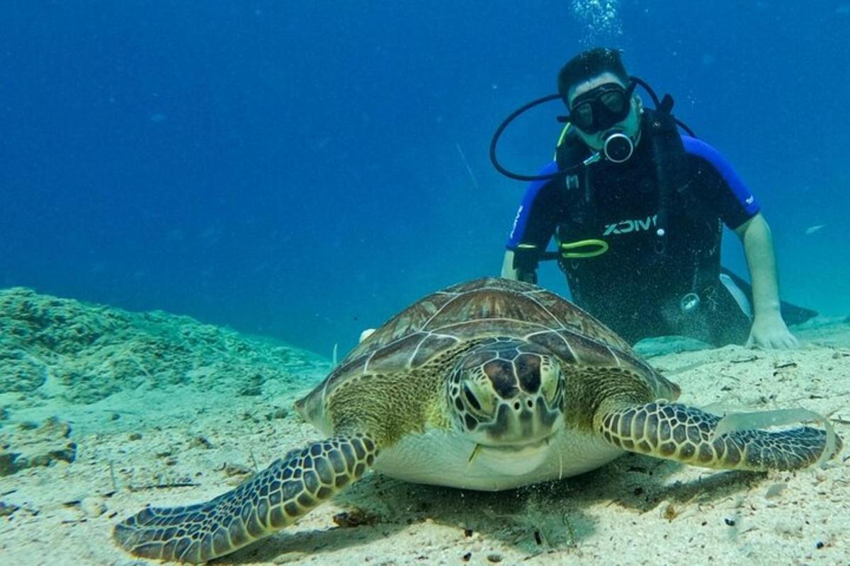 un homme debout à côté d'une tortue dans l'océan