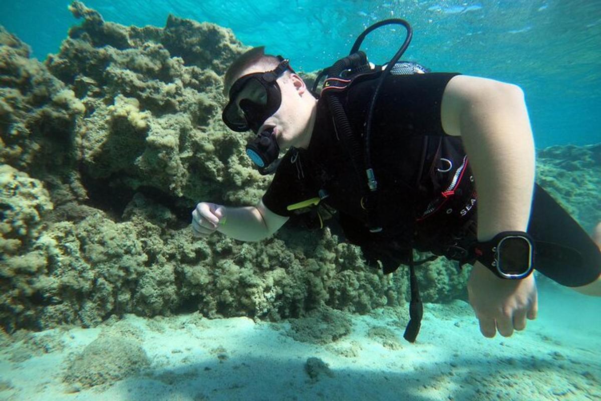 Un hombre con traje de buceo está nadando en el océano.