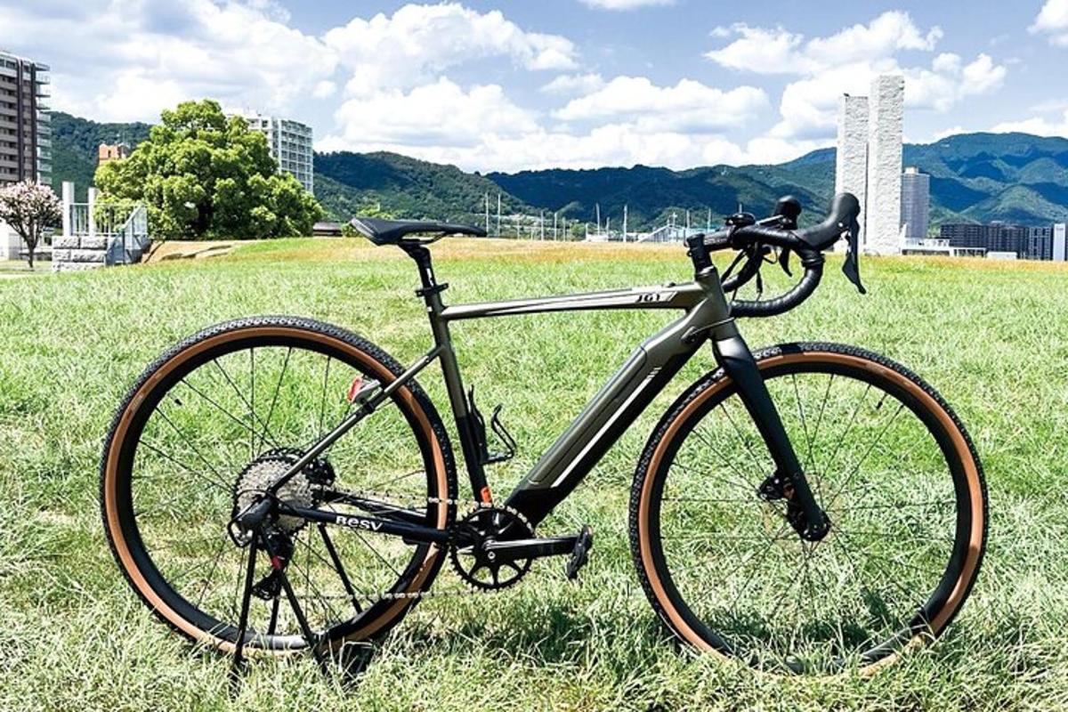 一辆停在田野草地上的自行车