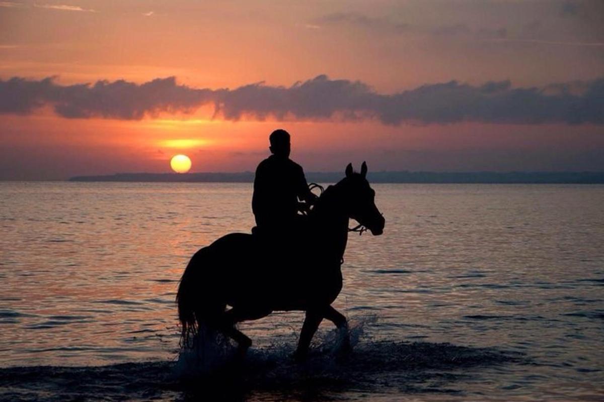 un uomo a cavallo sulla spiaggia al tramonto