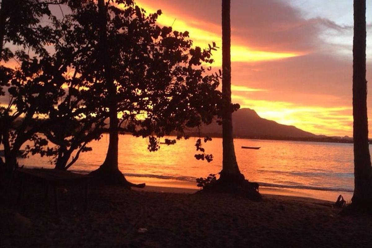 un tramonto su una spiaggia con due alberi di fronte all'acqua