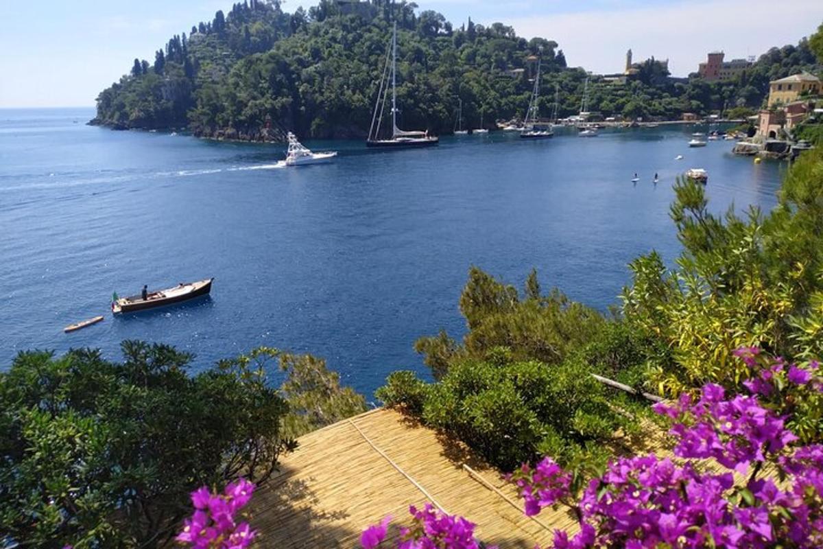 a boat on a lake with purple flowers