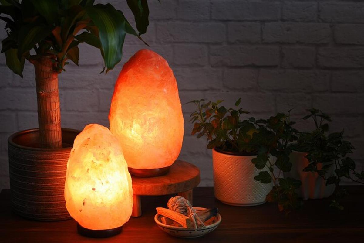 two lights sitting on a table next to potted plants