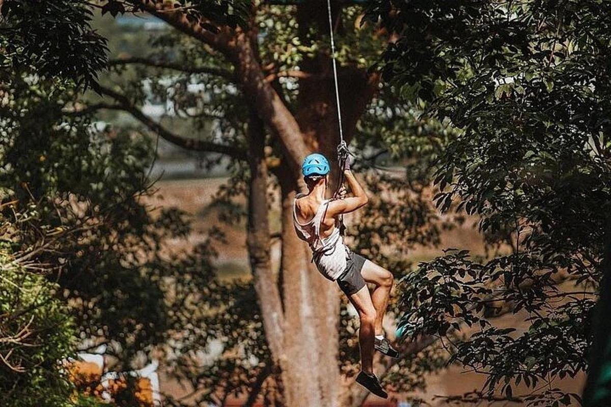 a woman on a zip line in a tree