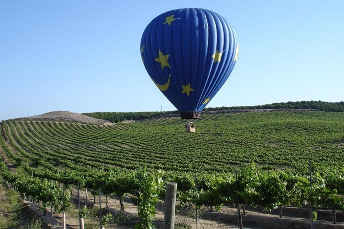 un globus aerostàtic volant sobre una vinya