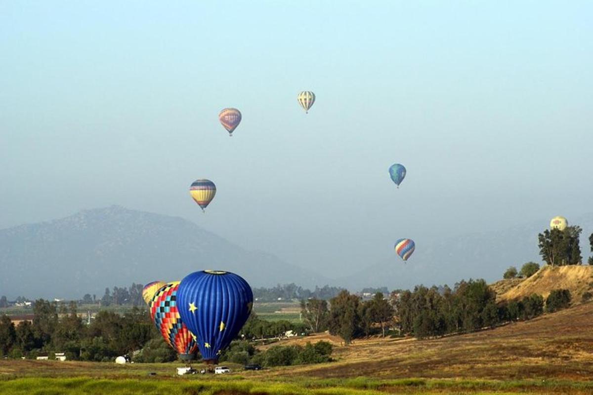 un munt de globus aerostàtics volant pel cel