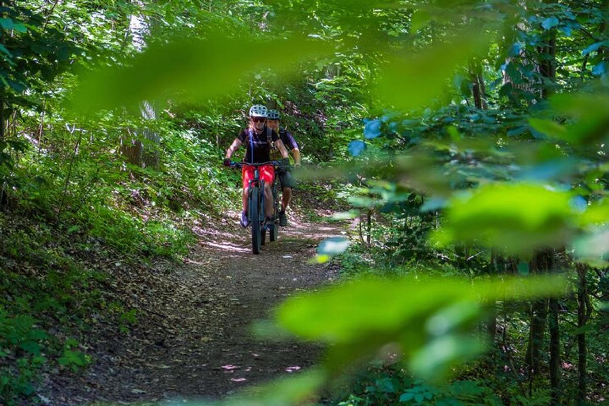 una persona che va in bicicletta su un sentiero nel bosco