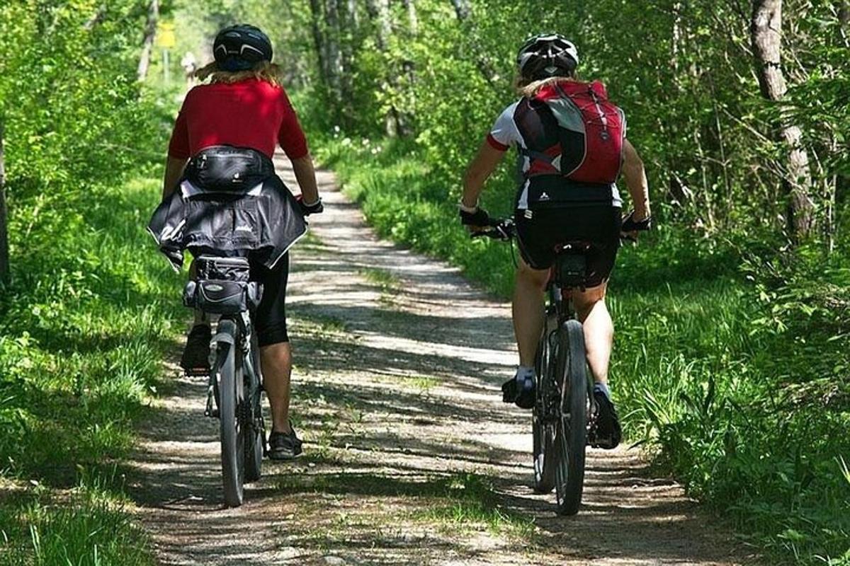 dalawang tao na nagbibisikleta sa isang trail sa kakahuyan