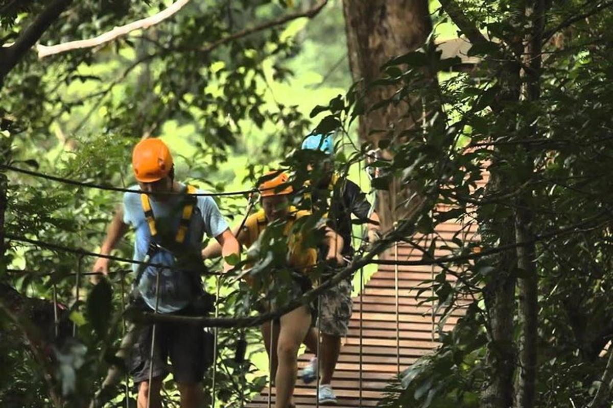 dua orang berjalan di atas jambatan gantung di dalam hutan