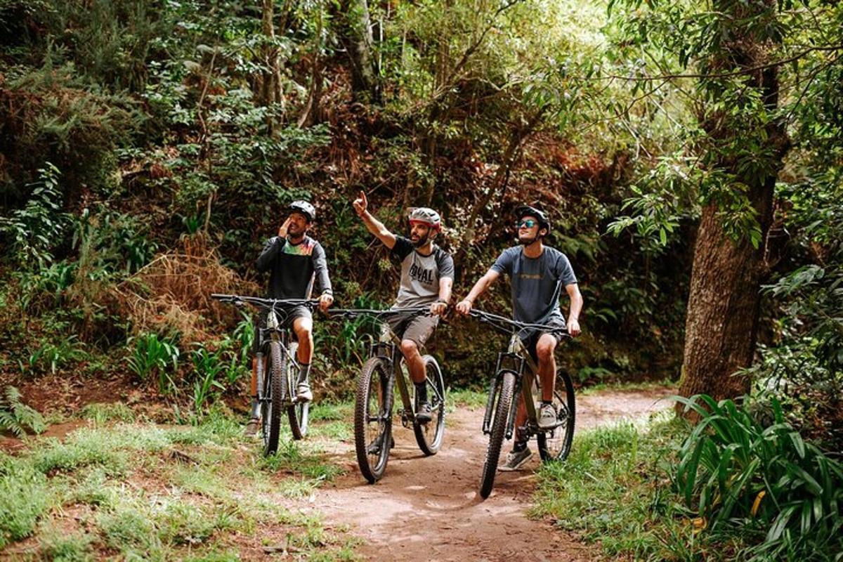 森の中の小道で自転車に乗る3人