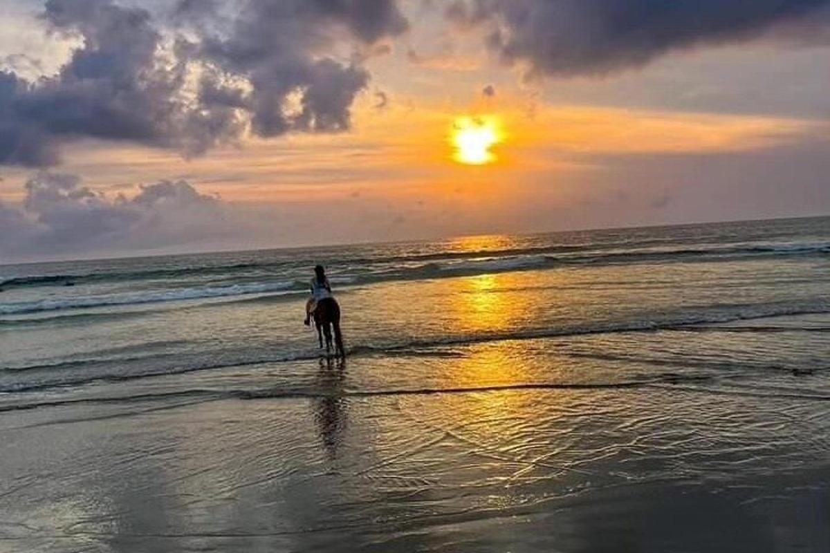 oseba, ki jaha konja na plaži ob sončnem zahodu