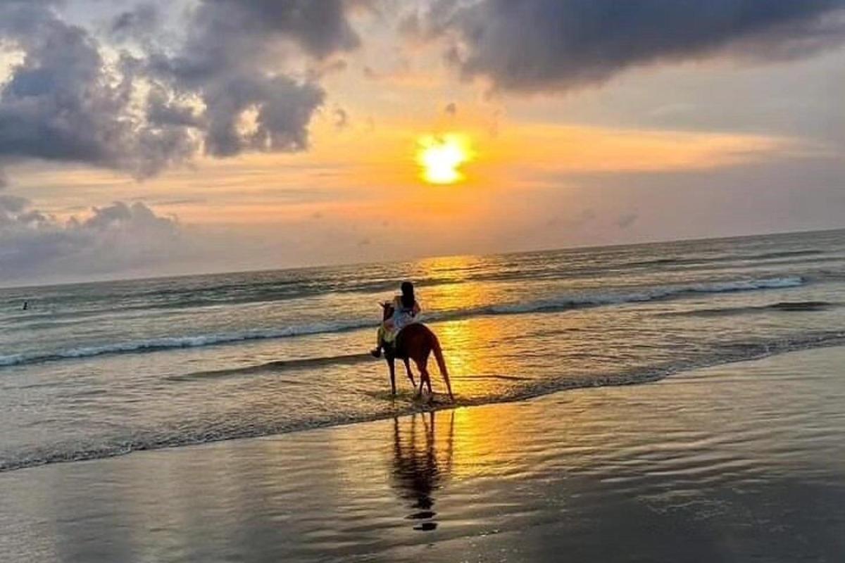 una persona muntant a cavall a la platja a la posta de sol