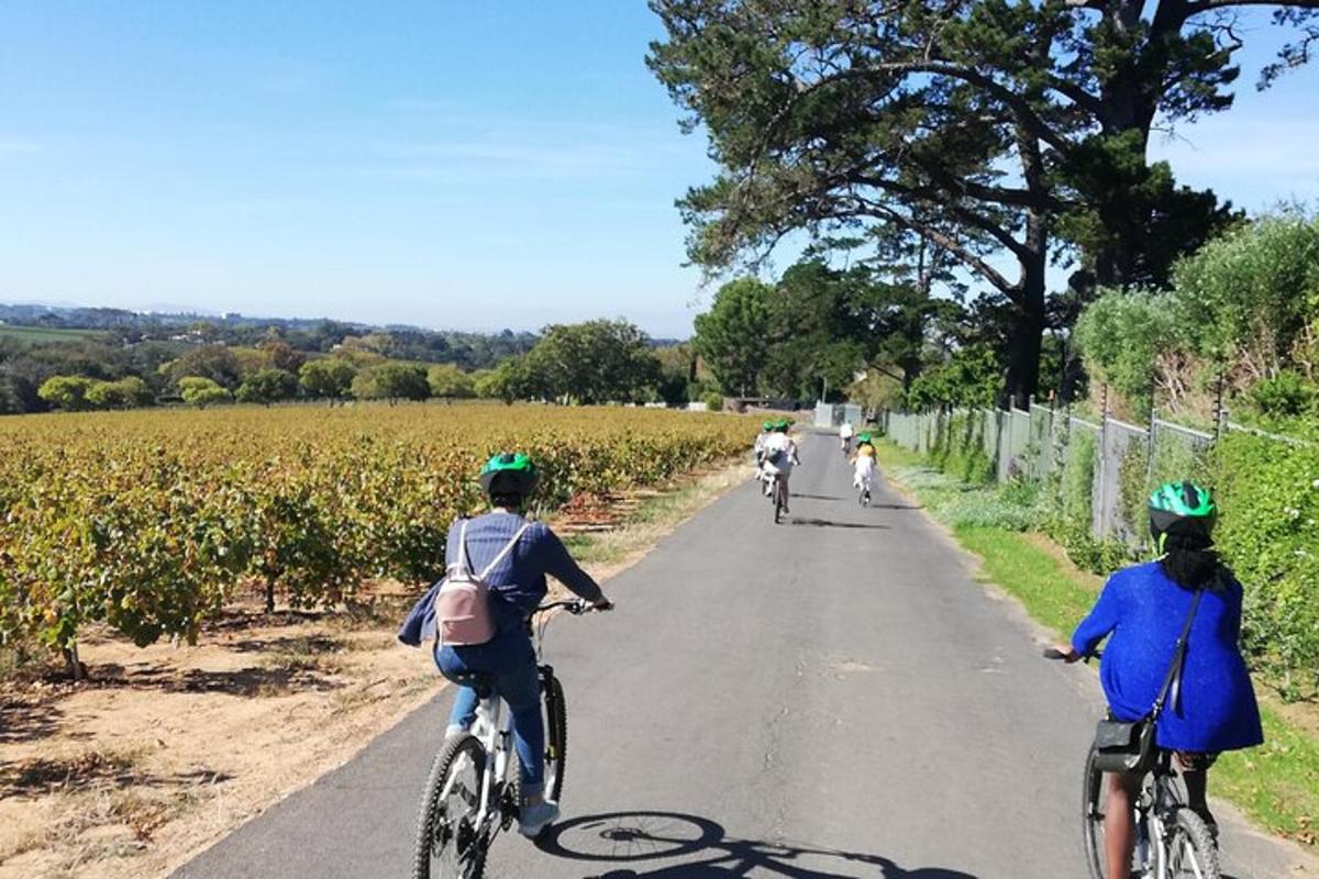 un grup de persones anant en bicicleta per una carretera