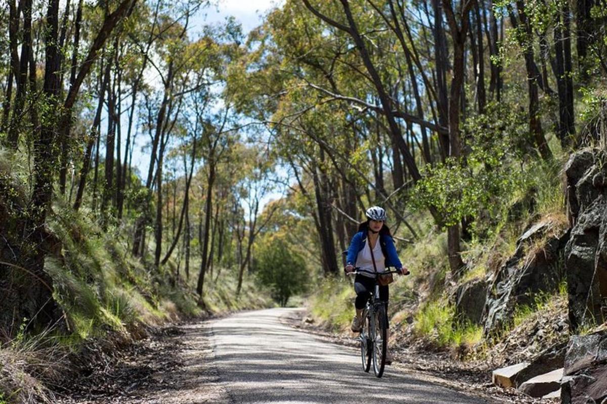 a person riding a bike down a dirt road