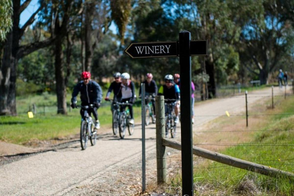 un gruppo di persone che vanno in bicicletta lungo un sentiero