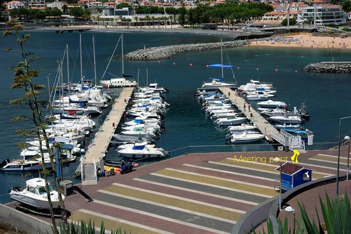a bunch of boats docked in a harbor
