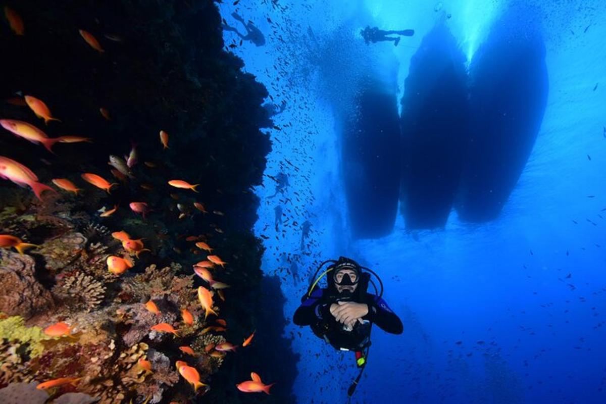 una persona che nuota nell'oceano con un sub e un pesce