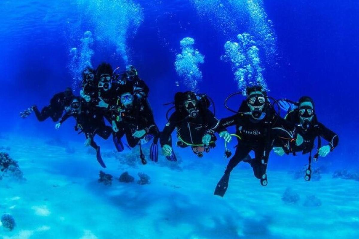 un gruppo di persone che nuotano nell'oceano