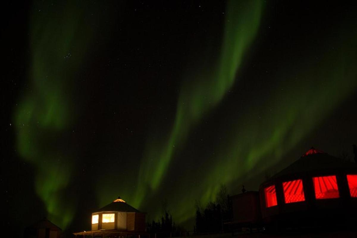 un'immagine dell'aurora boreale nel cielo