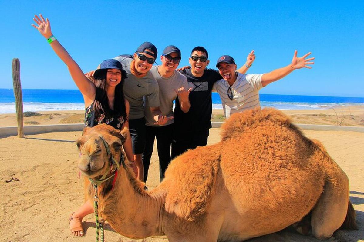 un grup de oameni care stau lângă o cămilă pe plajă