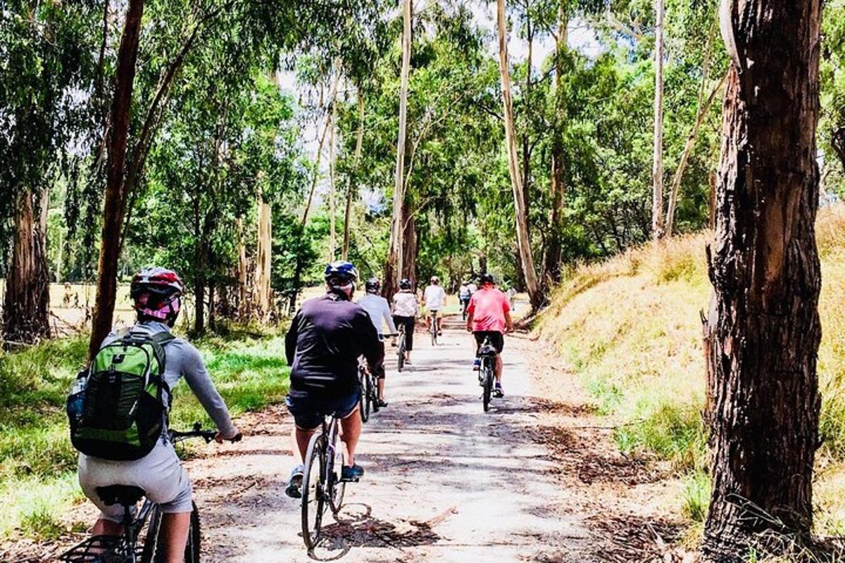 en gruppe mennesker, der cykler ned ad en grusvej