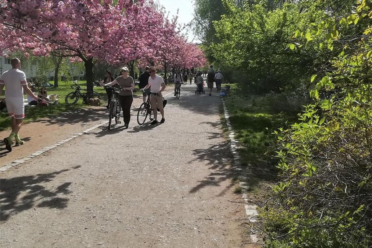 skupina lidí jedoucích na kolech po cestě se stromy