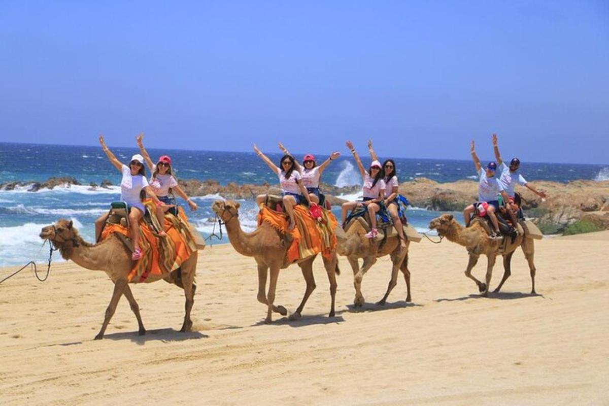 קבוצת אנשים רוכבים על גמלים על החוף