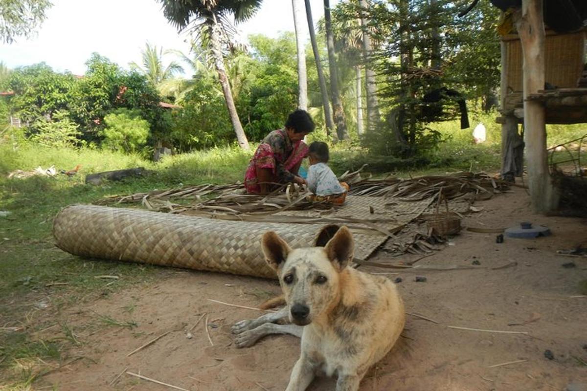 seorang wanita dengan anak dan anjing terbaring di atas tanah