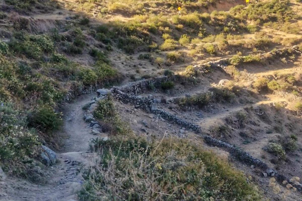 una vista aerea di una strada sterrata in un campo