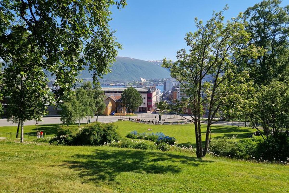 park se stromy a květinami na poli