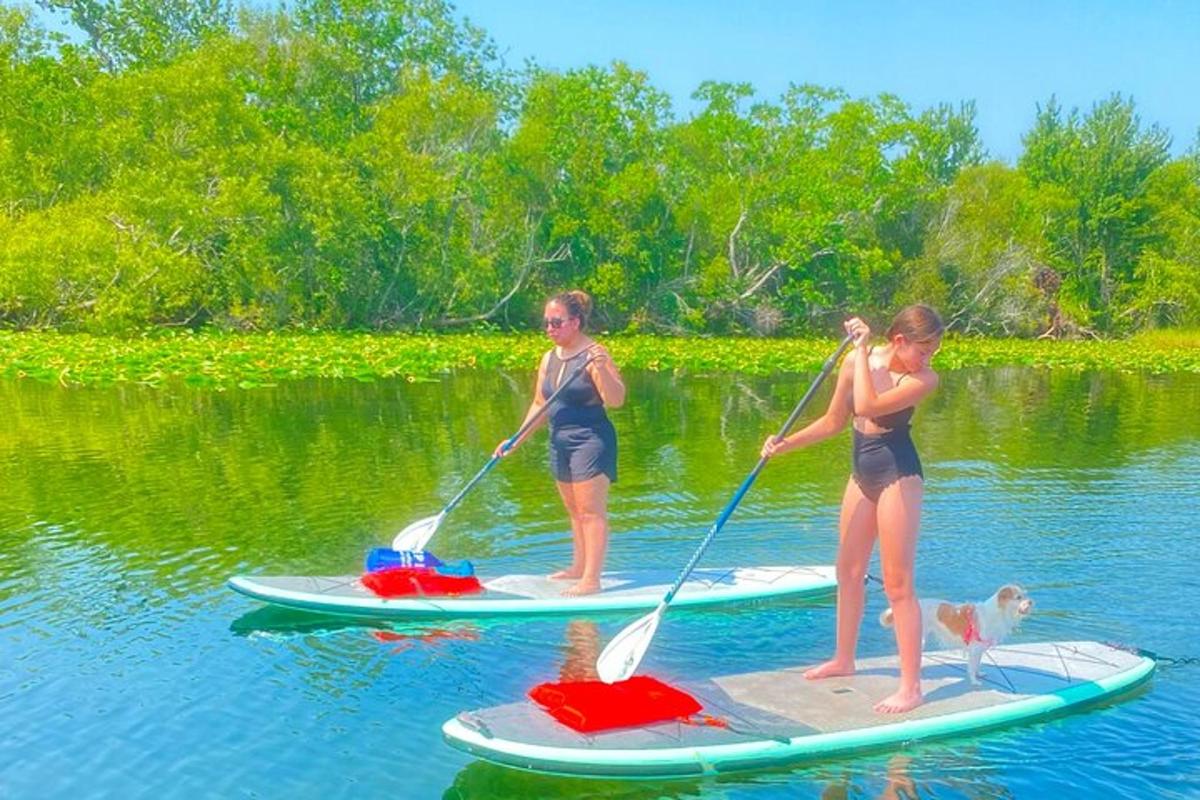 Dos chicas y un perro en tablas de paddle surf en el agua