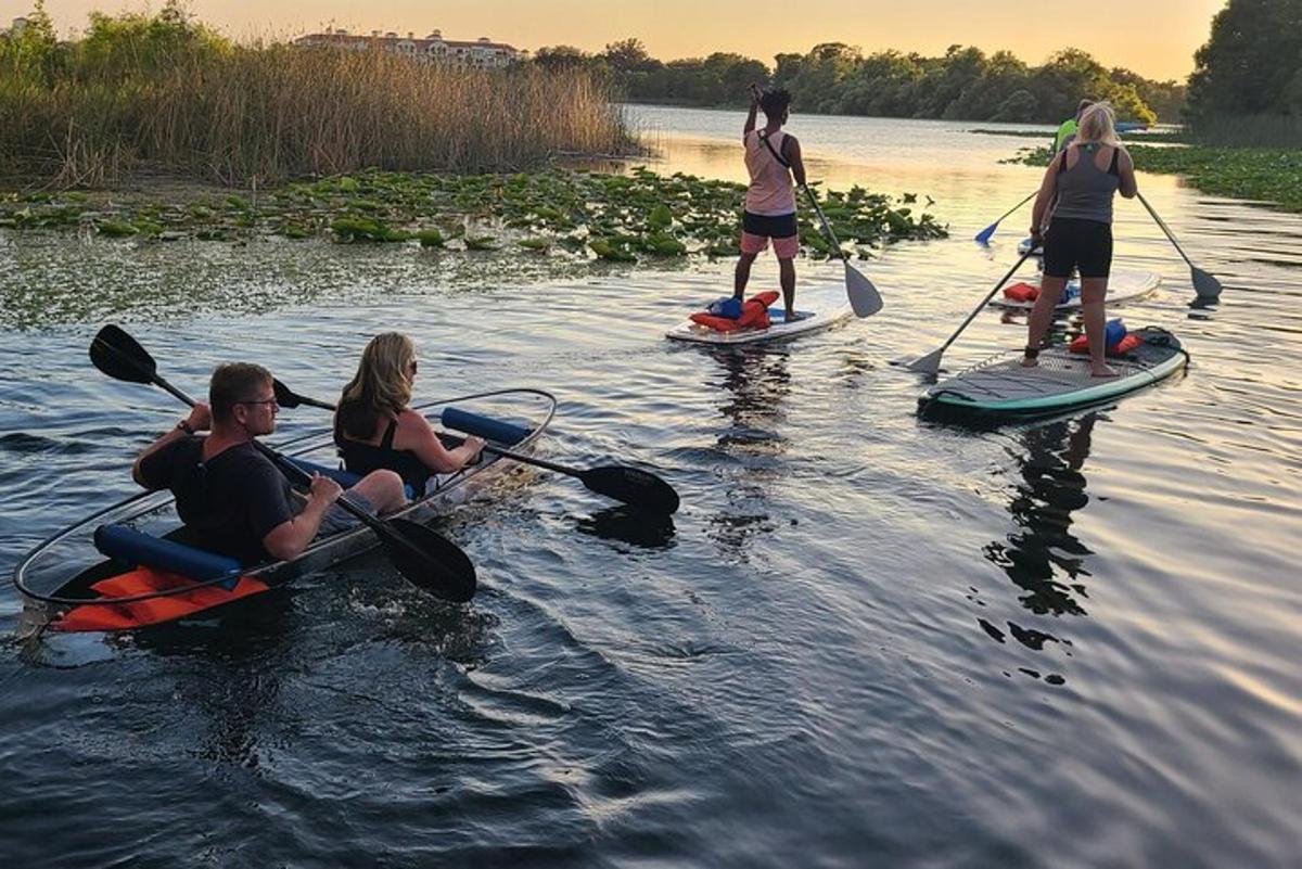 isang grupo ng mga tao sa paddle board sa tubig