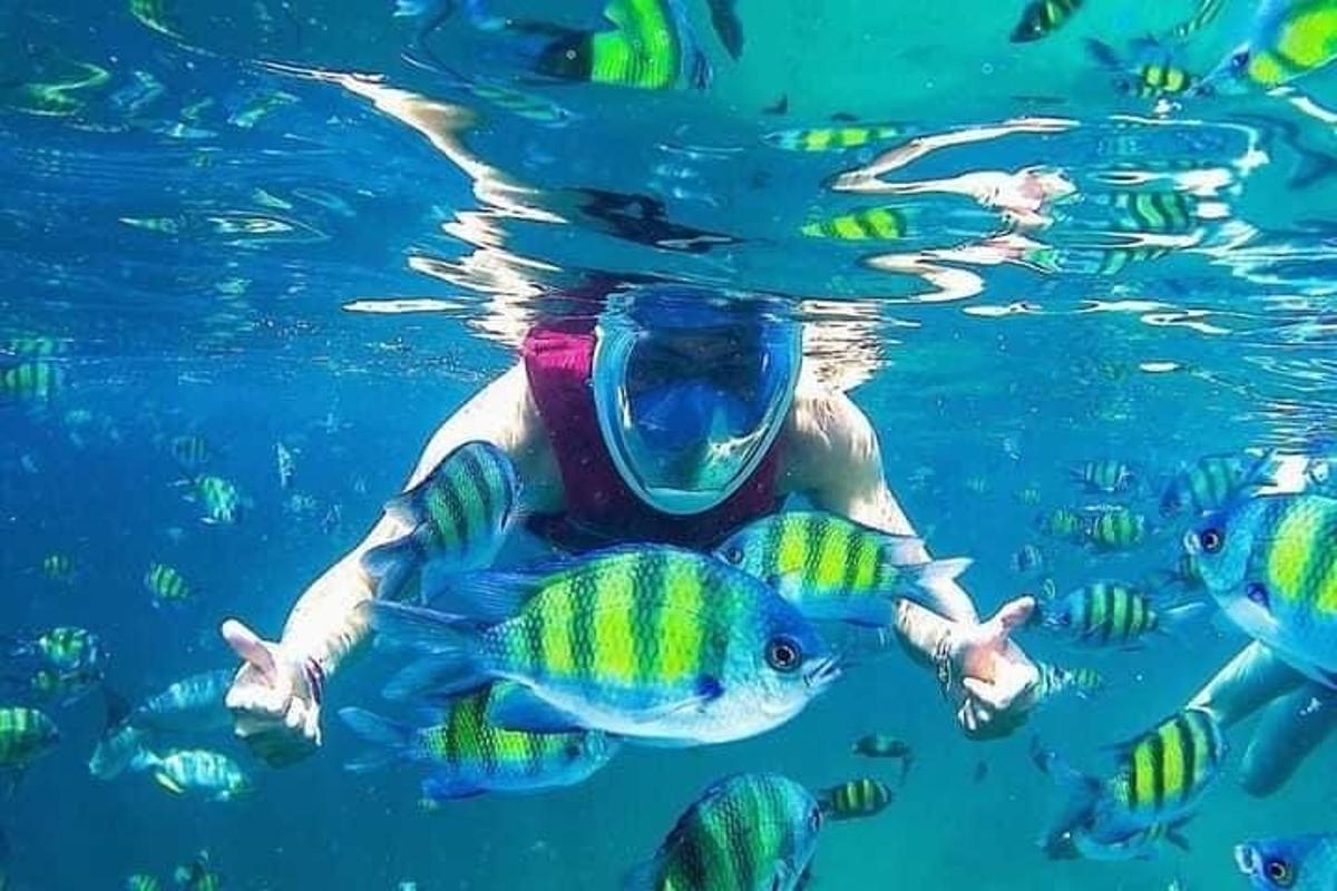 seseorang berenang di dalam air dengan ikan