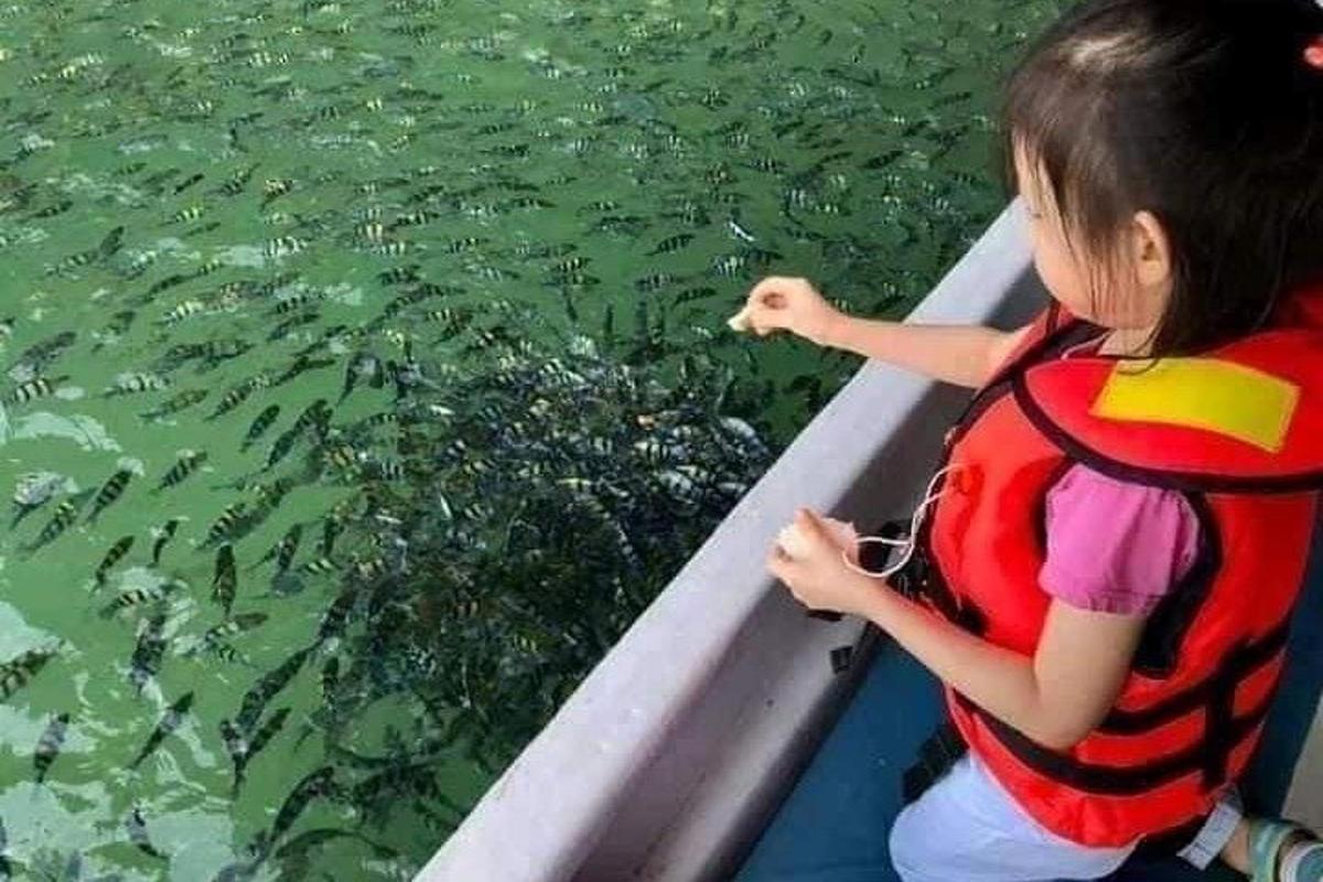 a young girl in a boat looking at fish in the water