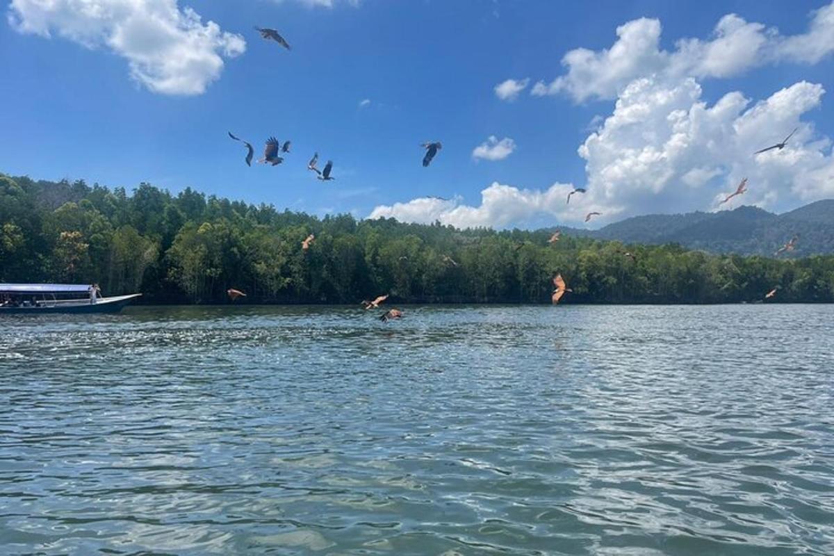 μια ομάδα ανθρώπων που κολυμπούν σε μια λίμνη