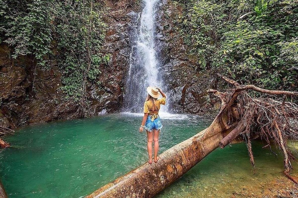 Una mujer parada en el tronco de un árbol frente a una cascada.